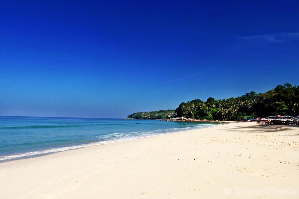 Dreams Guesthouse & Hostel Patong Extérieur photo